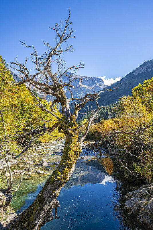 奥古拉村的里约热内卢Ara river Puente de Oncins